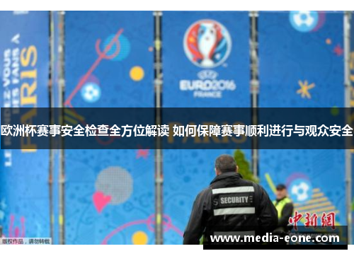 欧洲杯赛事安全检查全方位解读 如何保障赛事顺利进行与观众安全